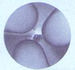 HIGH SPEED STEEL 3 FLUTE SHEARKUT HALF MOON COUNTERSINKS - RH CUT